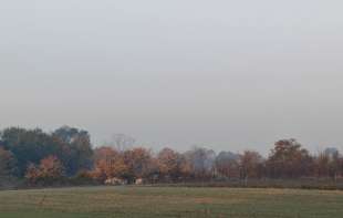 Ujutru magla, tokom dana sunčano: Temperatura do 16 stepeni