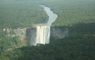 Nemačka obećala milijardu evra za očuvanje prašuma