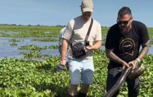 Ko je Kristijan Iličić koji je navodno „uznemiravao“ anakondu