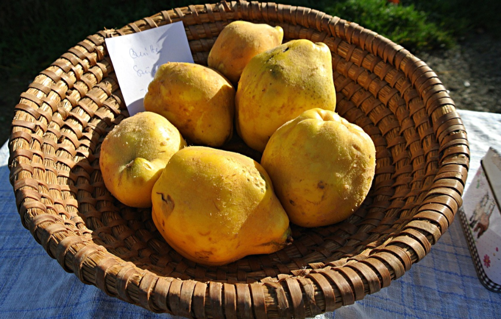 Recept za najbolji domaći sok od dunje,ukus mu je fantastičan