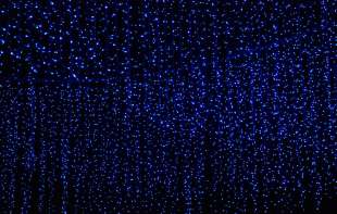 Kinezi uzgajili biljke koje svetle u mraku