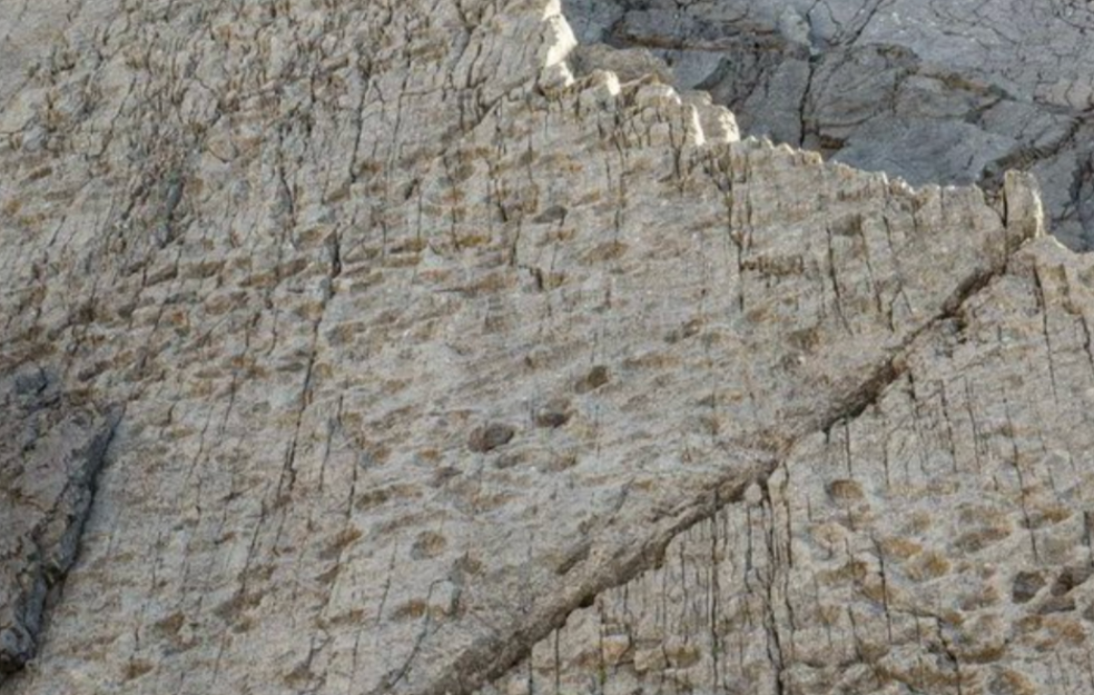 Hiljade otisaka stopala dinosaurusa otkrivena na alpskim liticama u Italiji