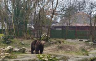 Direktorka Zoo vrta Palić: Sve životinje u zoo vrtu imaju kvalitetnu hranu i negu