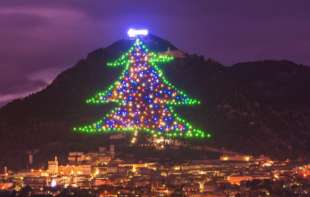 Najveća jelka na svetu koja je upisana u Ginisovu knjigu rekorda:Velika kao 30 fudbalskih terena