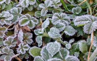 Oblačno jutro uz slab sneg na istoku, razvedravanje sa zapada tokom dana