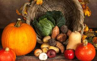 Izvoz povrća iz Srbije raste