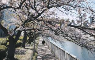 Stručnjak za bonton otkrio: Ova nacija ima najbolje manire