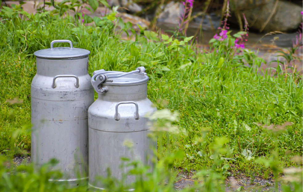 Usvojena uredba koja omogućava isplatu zaostalih premija za mleko