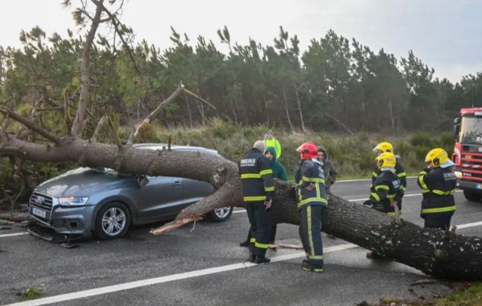Stravično nevreme pogodilo Portugaliju: Milion ljudi bez struje, petoro poginulo
